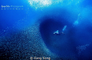 Deep impact by Gang Song 